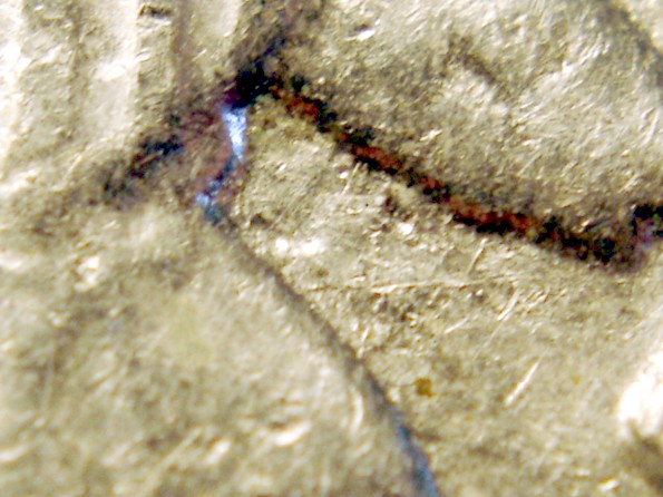 JFK-Half-Dollar-Roll-Hunters:-Silver,-Proofs-And-Other-Finds